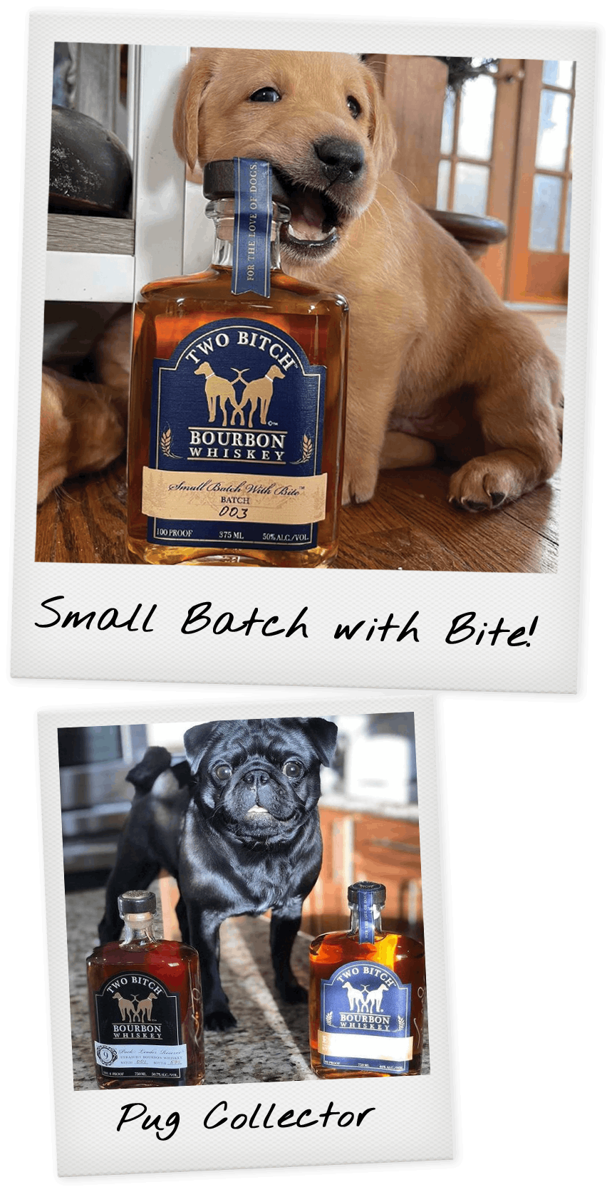 Two Bitch Spirits Ltd.  For the Love of Dogs, Bourbon & Good Times!